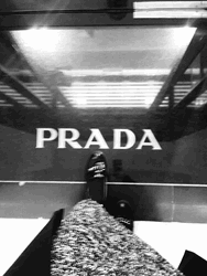 Prada Shoes GIF