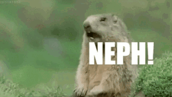 Prairie Dog GIF