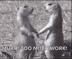 Prairie Dog GIF