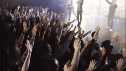  Praise And Raise Your Hands To God GIF