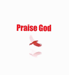 Praise God Bird Flying GIF