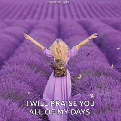 Praise The Lord Lavender Field GIF