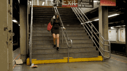 Prank Rat Showering Pizza GIF