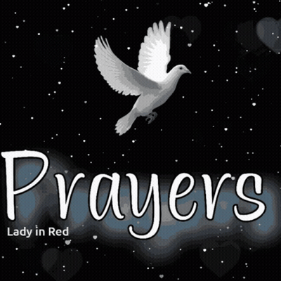Prayers Lady In Red With Dove And Hearts GIF