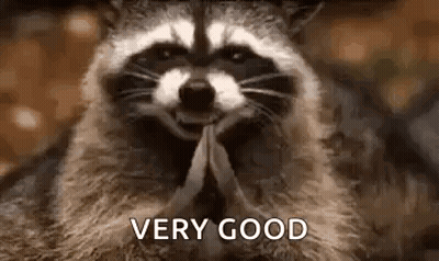 Praying Smiling Raccoon GIF