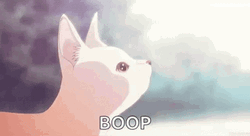 Precious Kitty Receiving Gentle Boop GIF