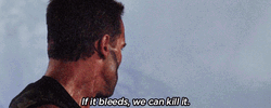Predator Arnold Schwarzenegger Movie Kill GIF