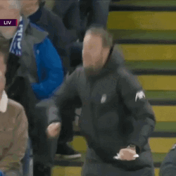 Premiere League Klopp Cheering Woo GIF