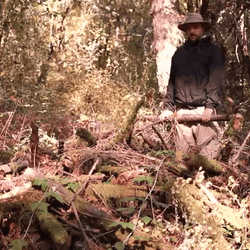 Preparing Wood Fire GIF