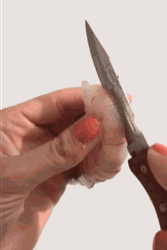 Prepping And Cutting Shrimp GIF