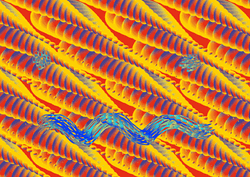 Preppy Smiley Face Trippy  GIF