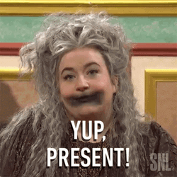 Present Aidy Bryant SNL GIF