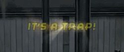 Presenting It's A Trap GIF