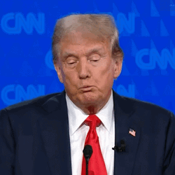 President Donald Trump Duckface GIF