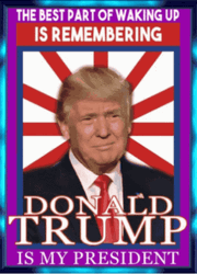 President Donald Trump Of America Meme GIF