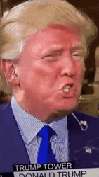 President Donald Trump Wrong Blushing Look