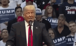 President Donald Trump Wrong Hand Gesture GIF