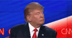 President Donald Trump Wrong Hand Sign GIF