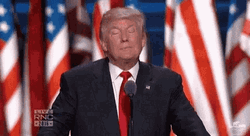 President Donald Trump Wrong Hands Up