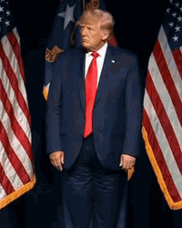 President Donald Trump Wrong Looking Around GIF
