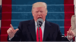 President Donald Trump Wrong Pointing Two Fingers Up GIF
