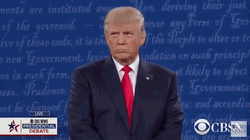 President Donald Trump Wrong Serious Vow GIF