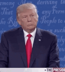 President Donald Trump Wrong Seriously Staring Reaction GIF