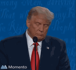 President Donald Trump Wrong Shakes Head