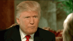 President Donald Trump Wrong Touching Hair GIF