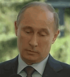 President Vladimir Putin Serious Reaction