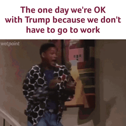 Presidents Day Trump Meme GIF