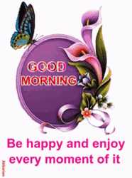 Pretty Butterfly Gives Happy Morning GIF