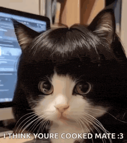 Pretty Cat Pretty Girl GIF