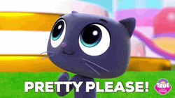 Pretty Please Cat True Rainbow Kingdom GIF