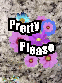 Pretty Please Poster With Flowers GIF