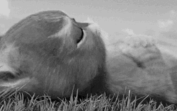 Pretty Please Puss And Boots Eyes GIF