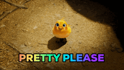 Pretty Please Yellow Chick GIF