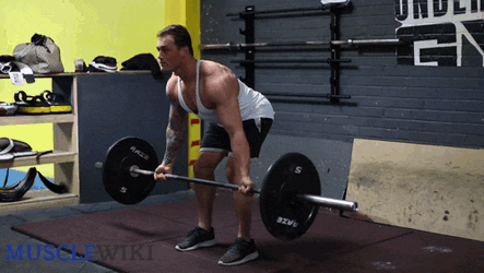 Prezentace GIF
