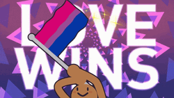Pride Bisexual Flag Love Wins GIF