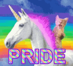 Pride Cat Riding A Unicorn GIF