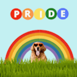 Pride Dog Rainbow GIF