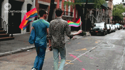 Pride Flag Gay Partner  GIF
