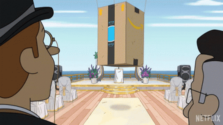 Prime Day Same Day Delivery GIF