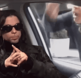 Prince Ignoring The Girl Outside The Car GIF