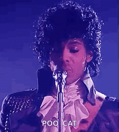 Prince Is Singing Into A Microphone On Stage . GIF