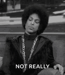 Prince Not Really GIF