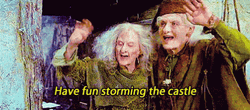 Princess Bride Have Fun Storming The Castle GIF