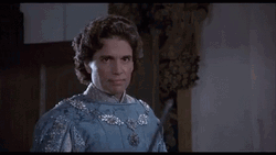 Princess Bride Not Familiar With That Phrase GIF