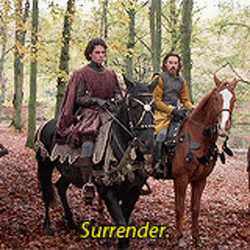 Princess Bride Surrender GIF