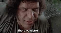 Princess Bride That's Wonderful GIF
